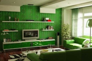 Green Living Home Ideas