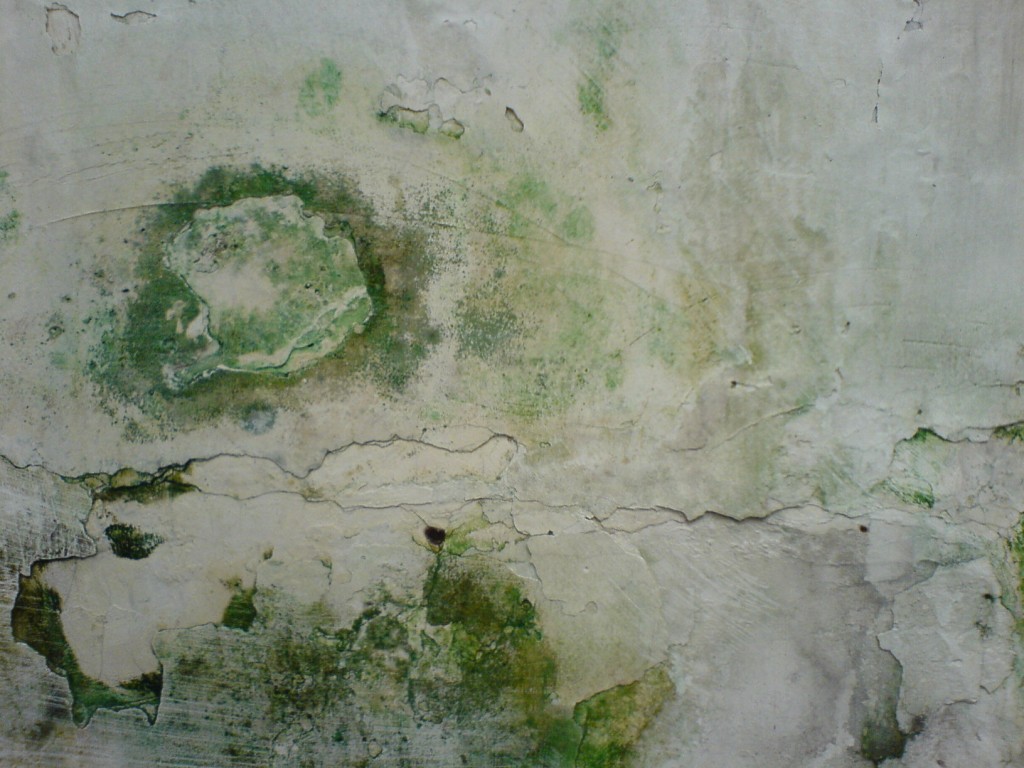 Dinding Yang Terkelupas (Sumber Gambar : www.rumahdekorasi.com)