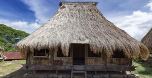 Rumah Adat Musalaki